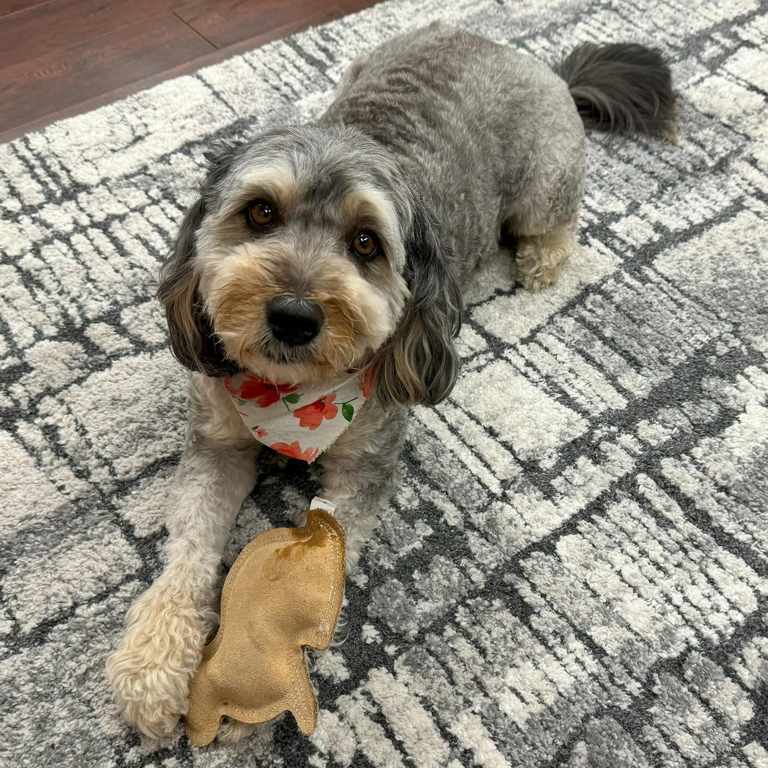 spot-dura-fused-leather-rabbit-dog-toy-durable-real-leather-jute-chew-toy-with-squeaker-double-stitched-for-moderate-chewers-small-medium-dogs-7-5in