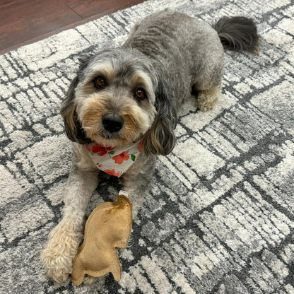 SPOT Dura-Fused Leather Rabbit Dog Toy – Durable Real Leather & Jute Chew Toy with Squeaker, Double-Stitched for Moderate Chewers, Small & Medium Dogs, 7.5In6
