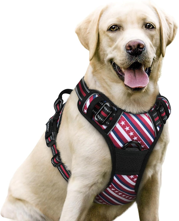 Rabbitgoo Dog Harness, No Pull for Large Dogs with 2 Leash Clips, Pet Vest | No Choke with Handle, Adjustable Soft Padded, Reflective, Easy Control for Walking, Black, Large128
