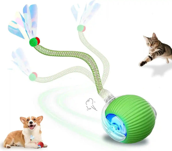 2-Pack USB Rechargeable Smart Cat Toy Ball, 360° Rotation Automatic Moving Chase Toy, Obstacle Avoidance Interactive Play with 4 Spiral Springs, Enrichment Toys for Indoor Cats, Puppies & Small Dogs12