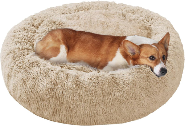 JOLLYVOGUE Small Dog Bed, Calming Soft Anti-Anxiety Donut Cat Bed, Washable round Fluffy Cushion for Small and Medium Pets (20")53