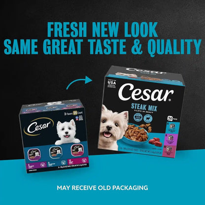 Cesar Filets in Gravy Wet Dog Food, Steak Mix Variety, 3.5 Oz, 24 Count | Filet Mignon, New York Strip & Prime Rib, Real Meat, Slow-Cooked, No Fillers/Added Sugar/Artificial Flavors, Easy Peel Trays2