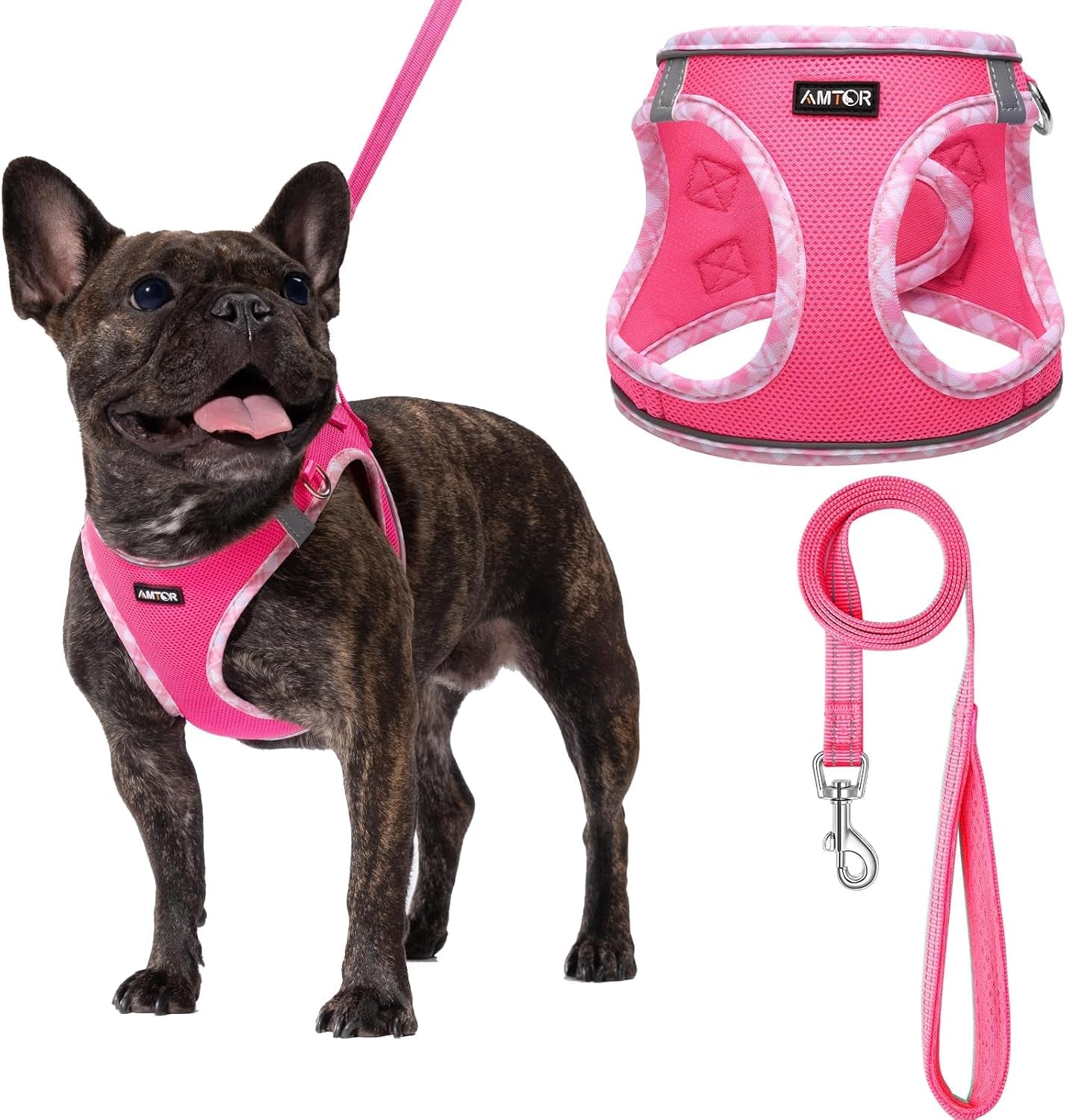 amtor-small-dog-harness-with-leash-set-no-escape-easy-walk-puppy-harnesses-for-training-walking-step-in-reflective-soft-dogs-vest-for-xs-s-medium-extra-small-large-sized-doggreen-s