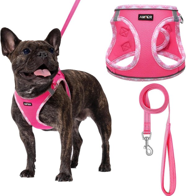 AMTOR Small Dog Harness with Leash Set, No Escape Easy Walk Puppy Harnesses for Training Walking, Step-In Reflective Soft Dogs Vest for XS S Medium Extra-Small Large Sized Dog(Green,S)15