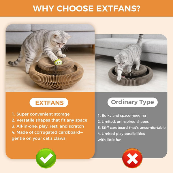2-Pack Cardboard Cat Toy with Ball Track, Foldable Cat Scratcher Ring, Fexible Magic Organ Cat Toy for Scratch, Chase, Lounge, Indoor Exercise, Furniture Protection and Multi-Cat Homes5