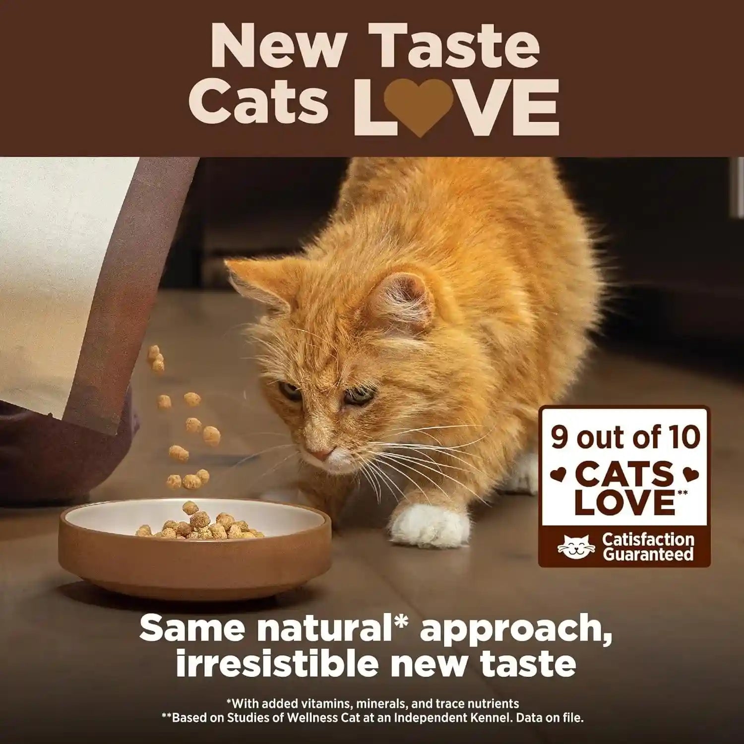 wellness-core-adult-dry-cat-food-for-indoor-cats-natural-grain-free-kibble-chicken-turkey-and-chicken-meal-recipe-5-lb-bag
