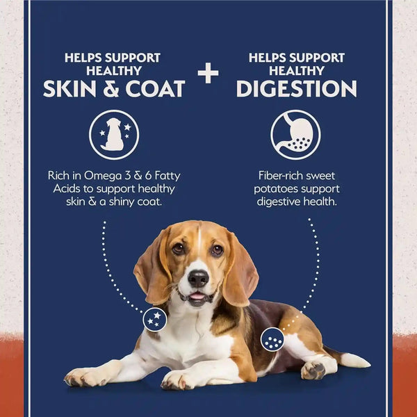 Natural Balance Limited Ingredient Adult Dry Dog Food - Balanced Nutrition for Adult Dogs - Grain-Free, Soy-Free Recipe - Limited Ingredient Formula - 24 Lb - Salmon & Sweet Potato Recipe3