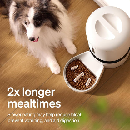 PETLIBRO Slow Feeder Bowl for Small Dogs & Cats, 1.125 Cup— Anti-Gulp Stainless Steel Dog & Cat Bowl, Helps Reduce Risk of Bloat, Dishwasher Safe — Compatible with PETLIBRO Camera Automatic Feeder3
