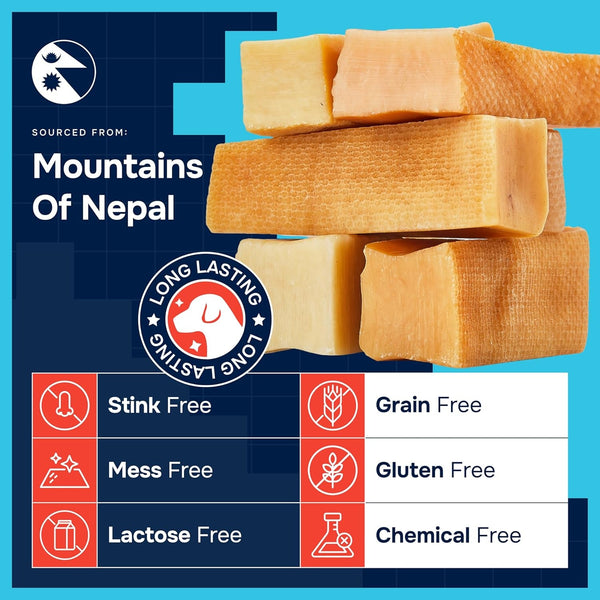 100% Natural Yak Cheese Himalayan Made Dog Chews All Breeds - Lactose Free Yak Chew for Small Medium & Large Dogs - Dental Cleaning Dog Chews for Aggressive Chewers - Long Lasting Odor & Gluten Free3