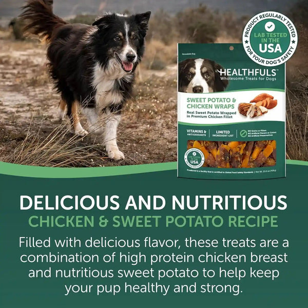 Healthfuls Chicken Wrapped Sweet Potato Dog Treats, 16Oz3