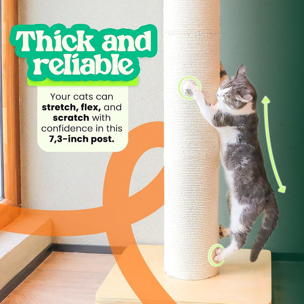 50" Tall Cat Scratching Post, Extra-Large Post for Large Cats | 36 Lb Heavy Build, Thickest 7.3 Inch Sisal Column, Wax Oiled Plywood Base, Stable for Maine Coon and Large Cats4