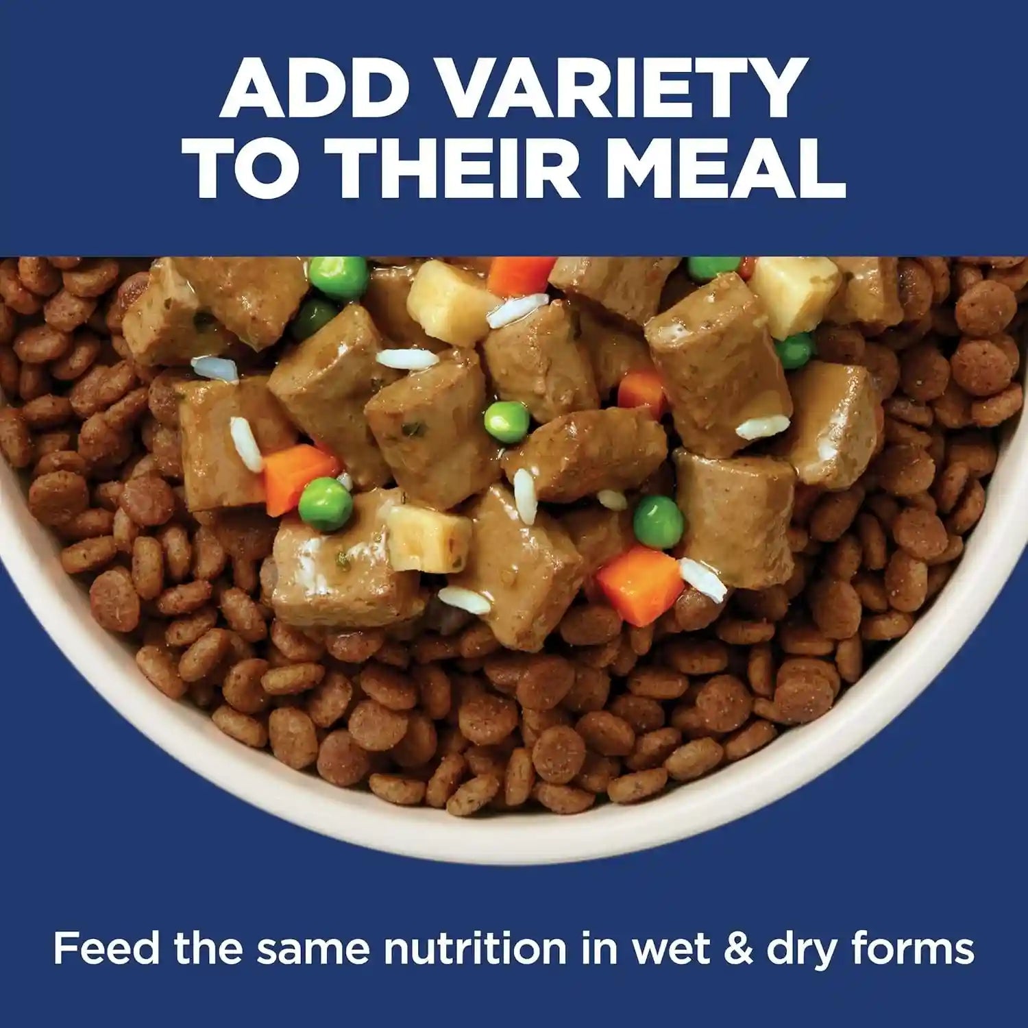 hills-science-diet-sensitive-stomach-skin-small-mini-dry-dog-food-1-veterinarian-recommended-adult-formula-chicken-recipe-4-lb-bag-updated-formula