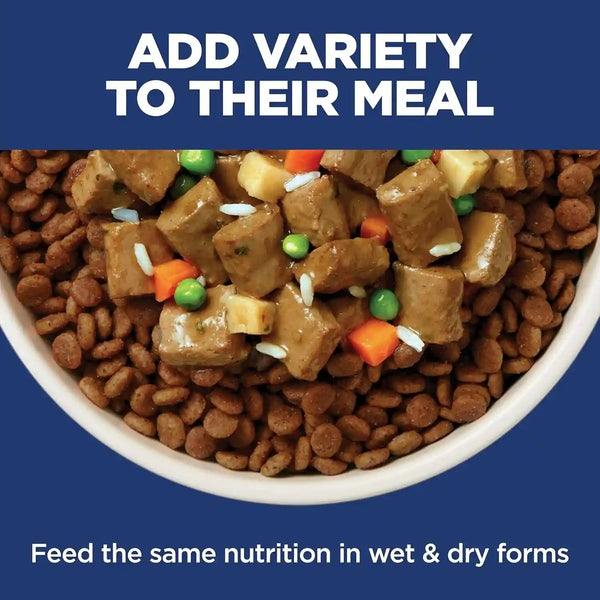 Hill'S Science Diet Sensitive Stomach & Skin Small & Mini Dry Dog Food | #1 Veterinarian Recommended, Adult Formula, Chicken Recipe, 4 Lb. Bag (Updated Formula)11