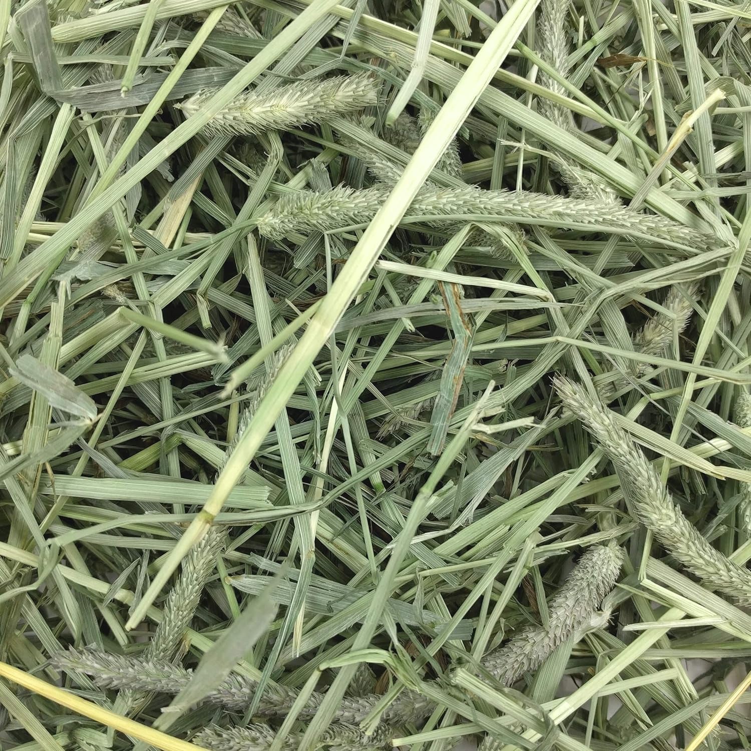 oxbow-western-timothy-hay-guinea-pig-hay-small-pet-bunny-supplies-all-natural-grass-for-guinea-pig-bunny-chinchilla-hamster-oxbow-rabbit-supplies-for-bunnies-9-lb-box-oxbow-timothy-hay-bunny-hay-for-rabbits-guinea-pigs-bunnies-and-chinchillas-hand-sorted-de-dusted-made-in-usa