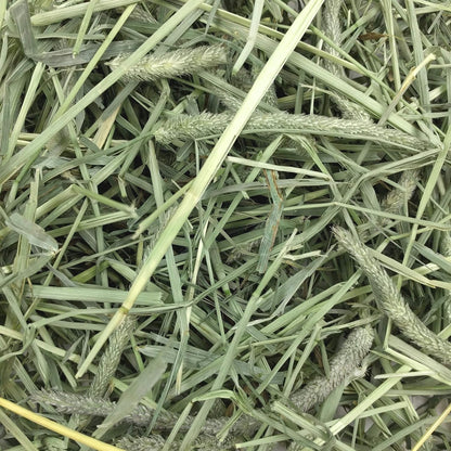 Oxbow Western Timothy Hay, Guinea Pig Hay, Small Pet Bunny Supplies, All Natural Grass for Guinea Pig, Bunny, Chinchilla & Hamster, Oxbow Rabbit Supplies for Bunnies, 9 Lb Box | Oxbow Timothy Hay, Bunny Hay for Rabbits, Guinea Pigs, Bunnies and Chinchillas, Hand-Sorted, De-Dusted, Made in USA8