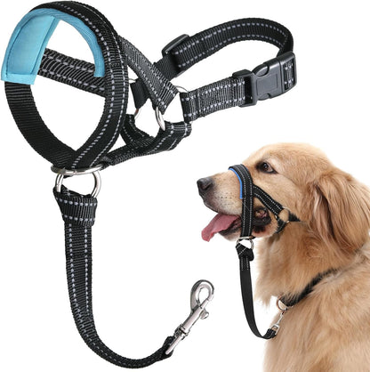 BARKLESS Dog Head Collar, No Pull Training Collar with Soft Padding | Reflective Head Halter for Large Dogs, Labrador, Controls Pulling and Lunging with Secure Safety Strap for Daily Walks1