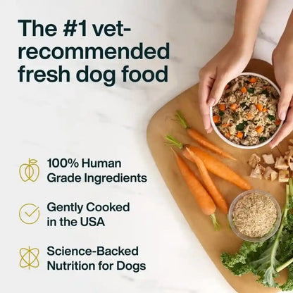 Justfoodfordogs Pantry Fresh Wet Dog Food, Complete Meal or Topper, Chicken & White Rice Human Grade Recipe - 12.5 Oz (Pack of 6)4