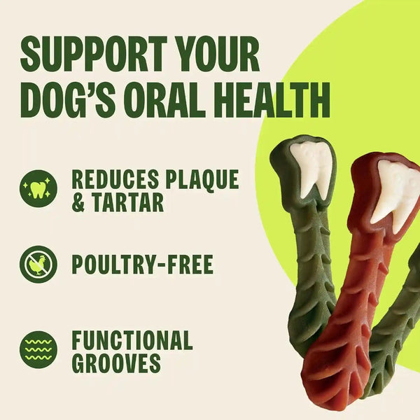 Wellness WHIMZEES Value Pack Natural Dog Dental Treat, Chews, Freshens Breath, Large Size, 50.9 Oz Box, 24 Count5