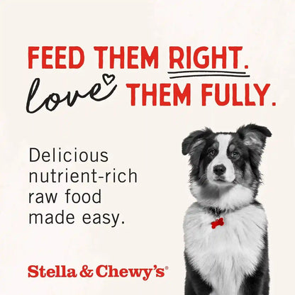 Stella & Chewy'S Freeze-Dried Raw Chicken Breast Dog Treats - Single Ingredient, No Additives - Premium Training Treats - Perfect for Picky Eaters - 2.75Oz Bag9