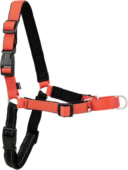 Petsafe Easy Walk Deluxe Dog Harness, No Pull Dog Harness – Perfect for Leash & Harness Training – Stops Pets from Pulling and Choking on Walks – Medium, Ocean17