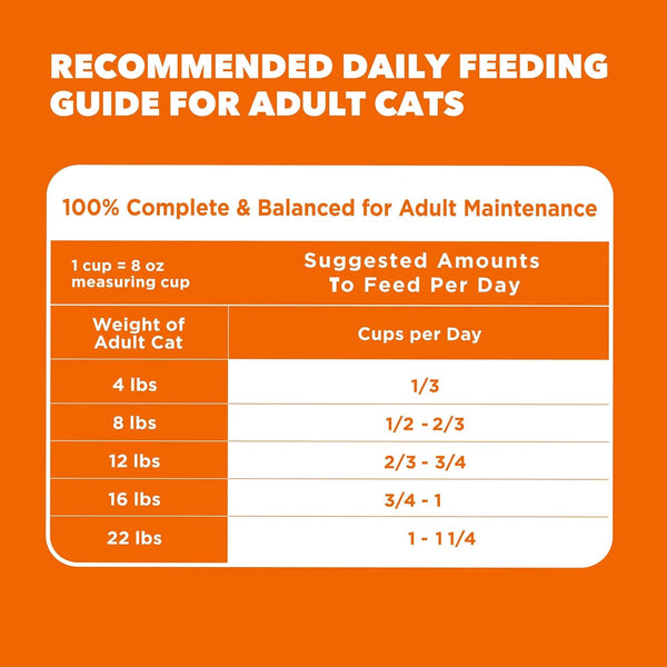 IAMS Proactive Health Healthy Adult Dry Cat Food, Chicken, 22 Lb | Veterinarian-Recommended, Real Chicken #1 Ingredient, Chicken & Egg Protein, Wholesome Grains for Energy, Supports Muscles9