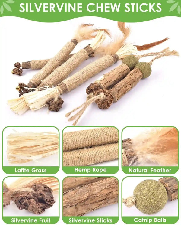 TINDTOP Catnip Chew Toys for Cats, 12 Pack Natural Silvervine Sticks | for Kittens Teeth Cleaning, Matatabi Dental Care, Increase Appetite, Calm Cat Anxiety and Stress, Cat Dental Toy4