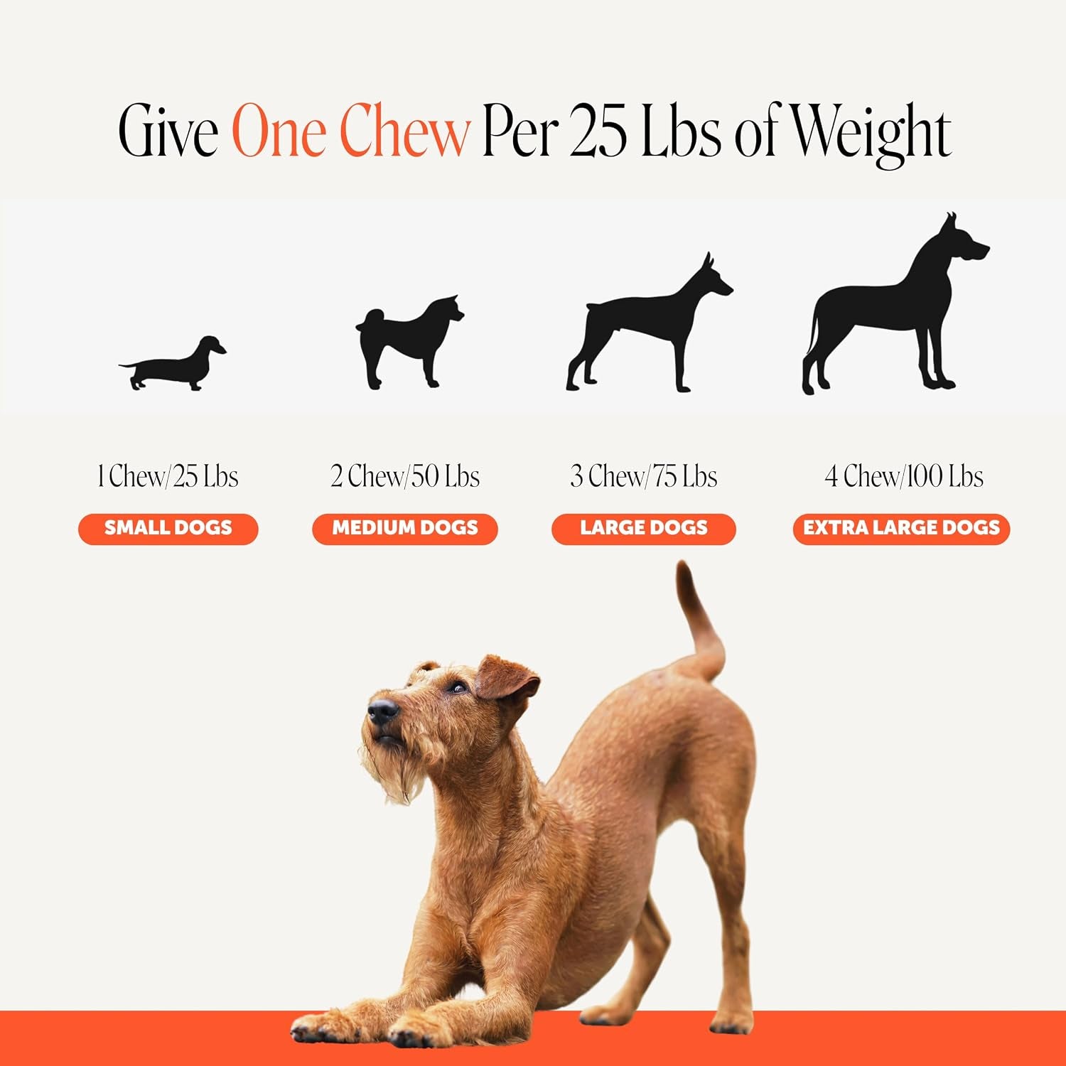 pet-honesty-vet-recommended-hip-and-joint-supplement-for-dogs-90-count-advanced-strength-dog-joint-supplement-with-glucosamine-chondroitin-chicken-supports-mobility-eases-stiffness