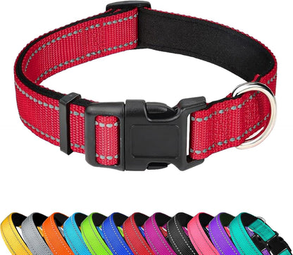 Reflective Dog Collar, Adjustable Soft Neoprene Padded,Teal,M | Breathable Nylon for Medium Dogs,Tear-Resistant Webbing,Chafe‑Free on Walks and Hikes,Metal D-Ring,Night Safety19