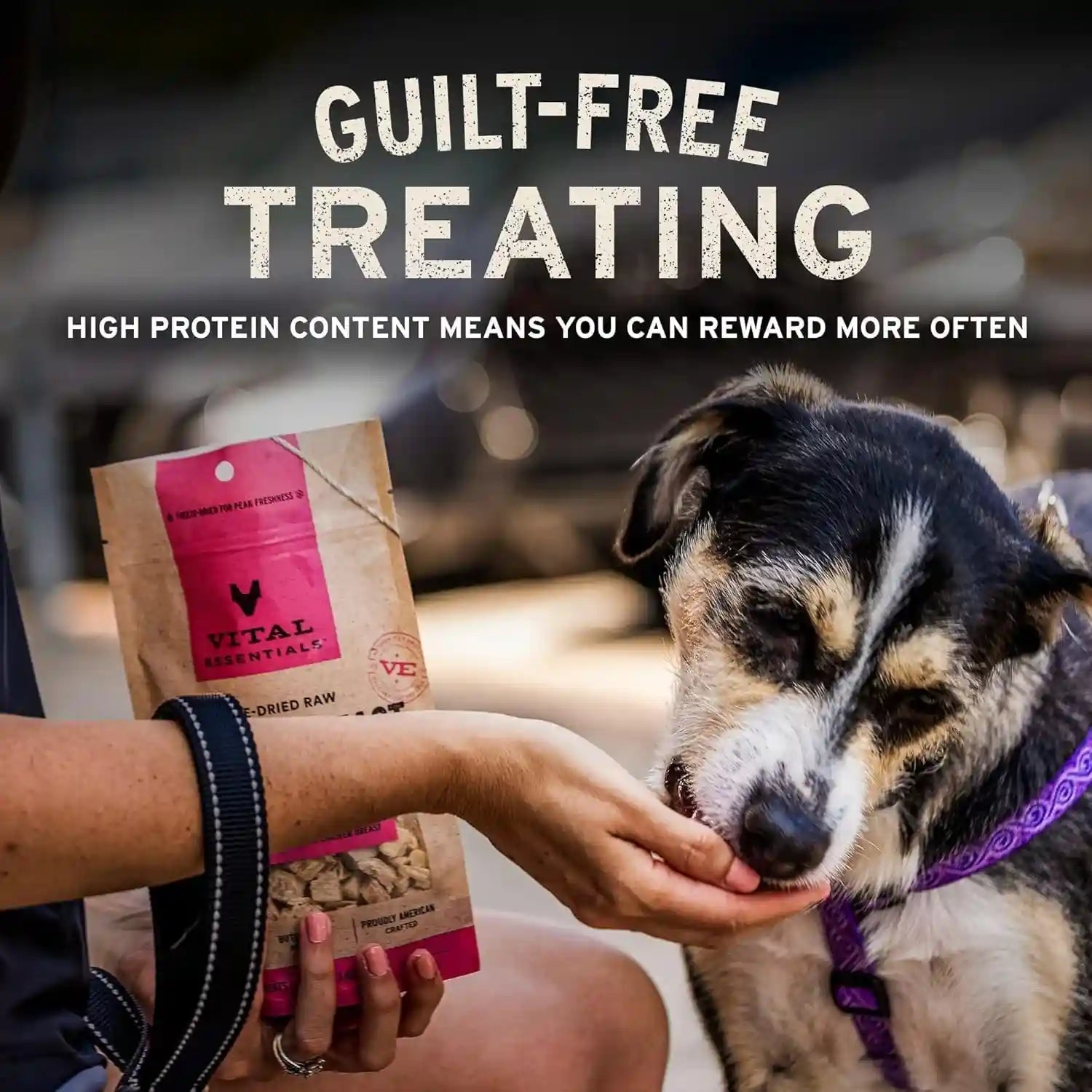 vital-essentials-freeze-dried-bully-sticks-dog-treats-1-4-oz-bag-3-count-single-ingredient-premium-quality-protein-long-lasting-grain-free-usa-made-with-u-s-globally-sourced-ingredients