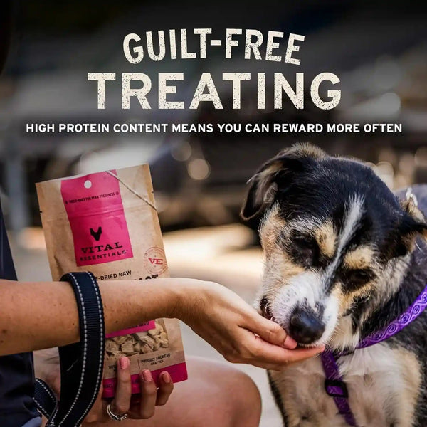 Vital Essentials Freeze Dried Minnows Dog Treats, 2.5 Oz Bag | Single Ingredient 100% Minnow, Premium Quality Protein, Grain-Free Treats, USA Made with U.S. & Globally Sourced Ingredients6