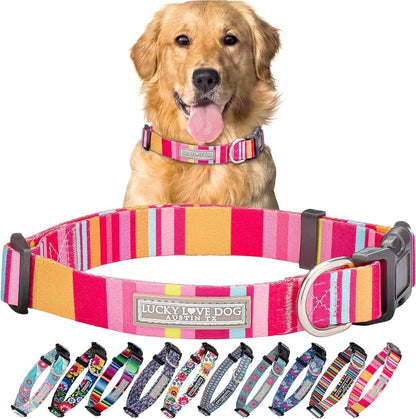Lucky Love Dog - Easy Click Buckle Dog Collar with Leash Set Combo, Durable & Comfortable for Male & Female Dogs, Pet Collar for Medium Dogs, Secure Fit - Blackbird Combo, Medium55