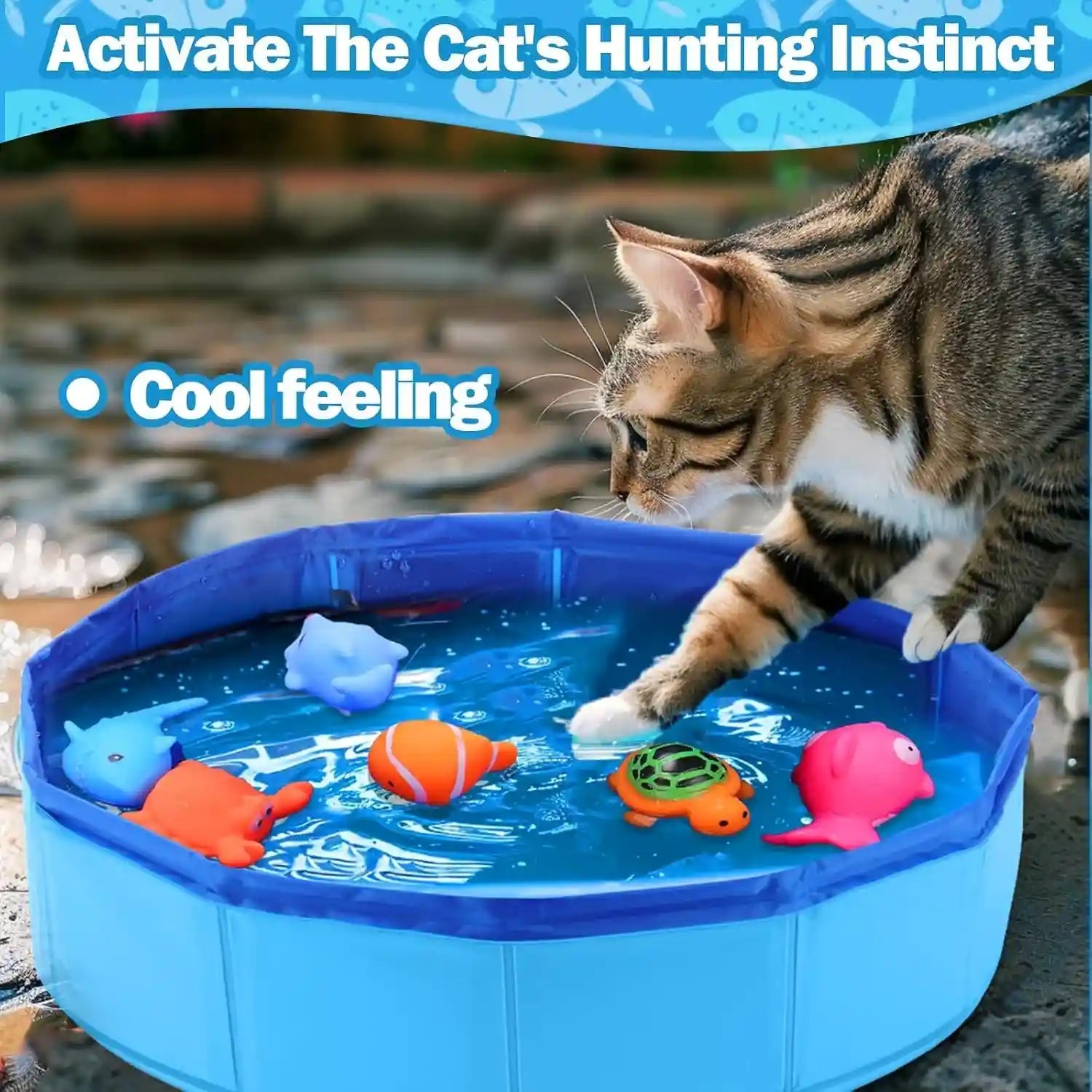 baborui-cat-pool-toy-with-fish-water-cat-toys-portable-cat-pool-toy-cat-water-toys-for-bored-indoor-cats-interactive-cat-toys-for-indoor-cats-for-endless-self-play