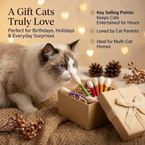 6 PCS Swabs Cat Toys with Catnip,Cat Qtip Toy,Cotton Swabs Cat Toys with Catnip,Durable for Chew,Interactive Kitty Kick Sticks for Cat Lovers Gift,Sturdy Teething Chew Toy (Colorful)2