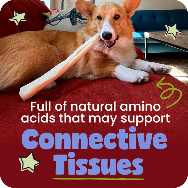 Pawstruck All Natural 11-12" Roasted Collagen Sticks for Dogs – Low Odor & Long-Lasting Bully Stick & Rawhide Alternative, Single Ingredient, Vet Approved – 5 Pack5