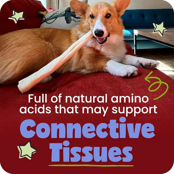 Pawstruck Natural Large 12" Beef Collagen Sticks for Dogs – Long-Lasting Rawhide Alternative, High Protein Treats with Chondroitin & Glucosamine – 5 Pack5