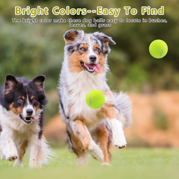Magicorange Dog Tennis Balls, 20 Pack 2.5 Inch Squeaky Tennis Balls | Floatable Squeaky Dog Balls for All Breed Dogs,Natural Rubber,Colorful Easy Catching Multicolor,With Mesh Bag5