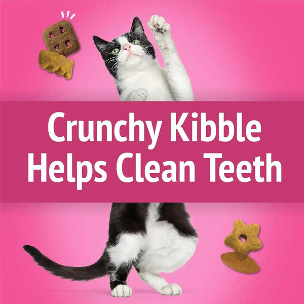 Purina Friskies Party Mix California Crunch with Chicken and Flavors of Turkey and Bacon Cat Treats - 20 Oz Canister5