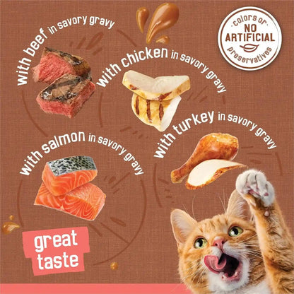 Purina Friskies Extra Gravy Wet Cat Food Chunky 24Ct Variety Pack (With Chicken, Turkey, Salmon, Beef) - (Pack of 24) 5.5 Oz. Cans5
