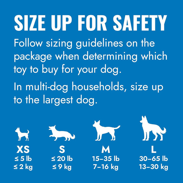 KONG Puppy - Natural Teething Rubber Chew Toy for Dogs - Stuffable Dog Toy for Extended Playtime - Chew & Fetch Toy for Puppies - for Small Puppies - Blue2