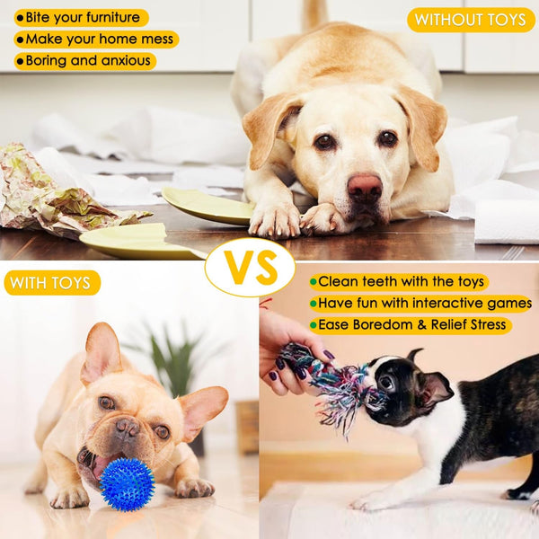 Aipper Dog Toys 25 Pack for Fun and Teeth Cleaning, Puppy Chew Toys Pack with Squeak Plush Toy,Squeaky Toy Balls,Tug of War and Rope Toys for Puppy to Small Dogs6