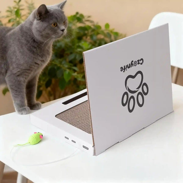 Cat Laptop Scratcher, Cat Scratcher Cardboard, Interactive Toys, Kitten Supplies and Stuff for Indoor Cats7