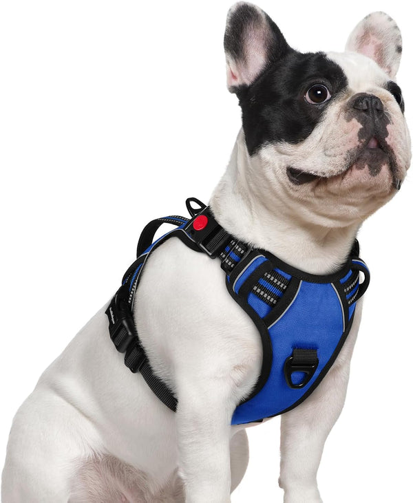 Rabbitgoo Large Dog Harness, Easy Wear with 3 Buckles and Lift Handle | No Pull with Front Clip for Walking, Adjustable Soft Padded, Reflective, Easy Control, Pink, Large32