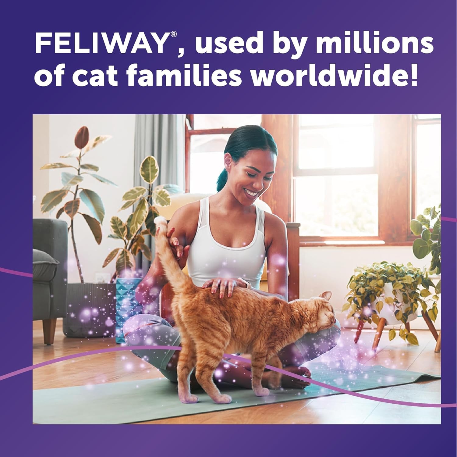 feliway-classic-cat-calming-spray-60ml-comforts-cats-at-home-and-on-the-go-and-helps-to-calm-during-travel
