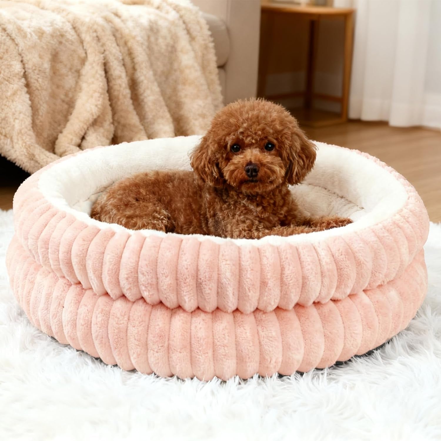 cat-beds-for-indoor-cats-washable-round-donut-dog-bedgrey-s-cute-fluffy-puppy-dogs-beds-for-small-dogs-cat-bed-with-anti-slip-bottom-round-dog-cat-beds-for-indoor-cats