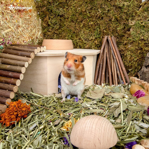 Niteangel Birch Chamber-Maze Hamster Hideout - Small Pets Woodland House Habitats Decor for Hamster Mice Gerbils Mouse3