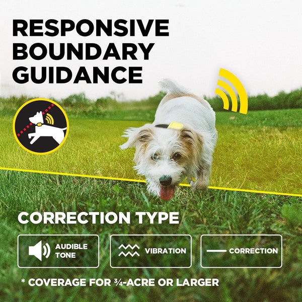 Dogtra GPS Fence – No Subscription, Custom Wireless Dog Fence with App, Smart Guidance & Return Reminder Tone/Vibration/Correction, IPX9K Waterproof Rechargeable Collar, Safe Freedom for Dogs 15 Lbs+9
