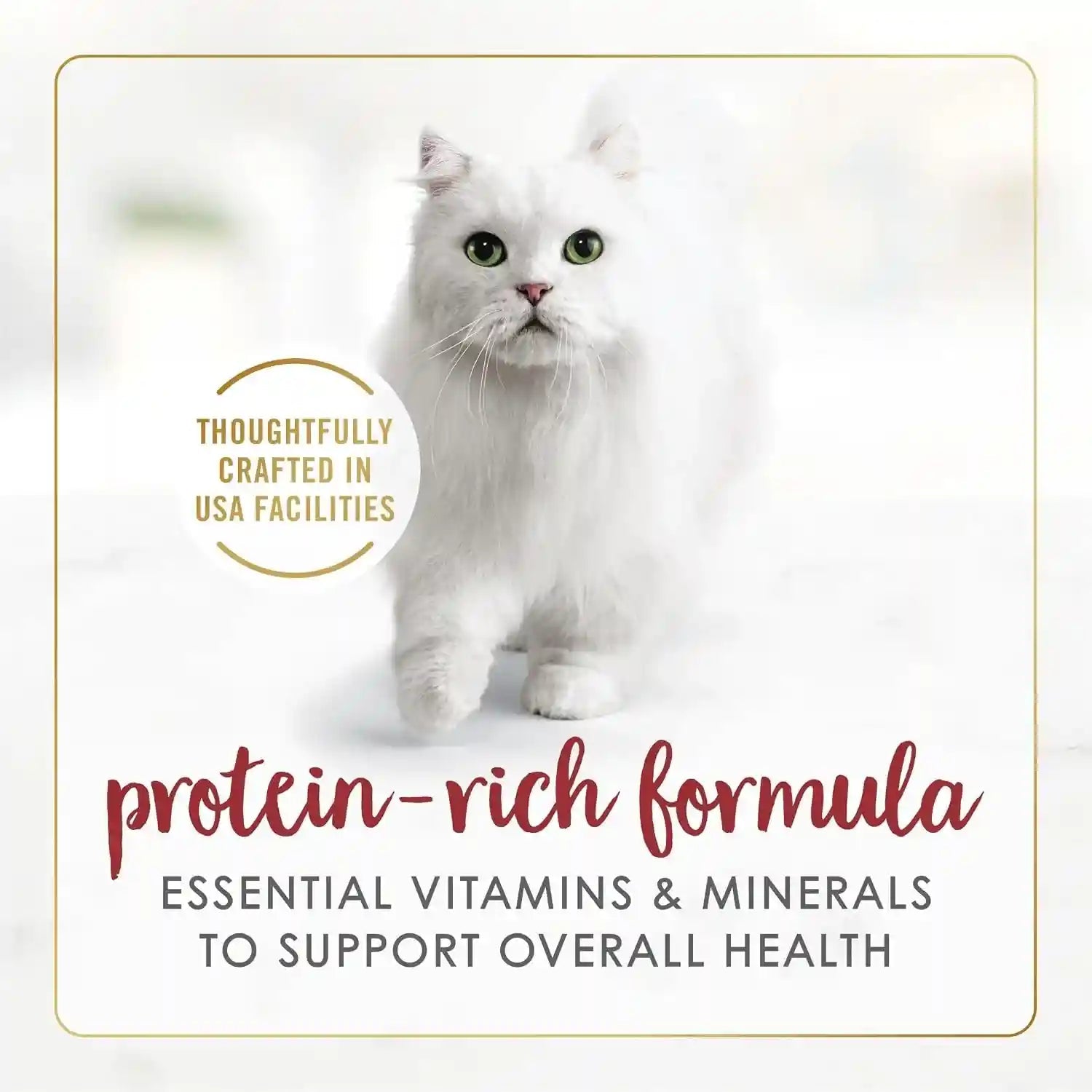 purina-fancy-feast-gravy-lovers-beef-feast-grilled-gourmet-cat-food-in-wet-cat-food-gravy-pack-of-24-3-oz-cans