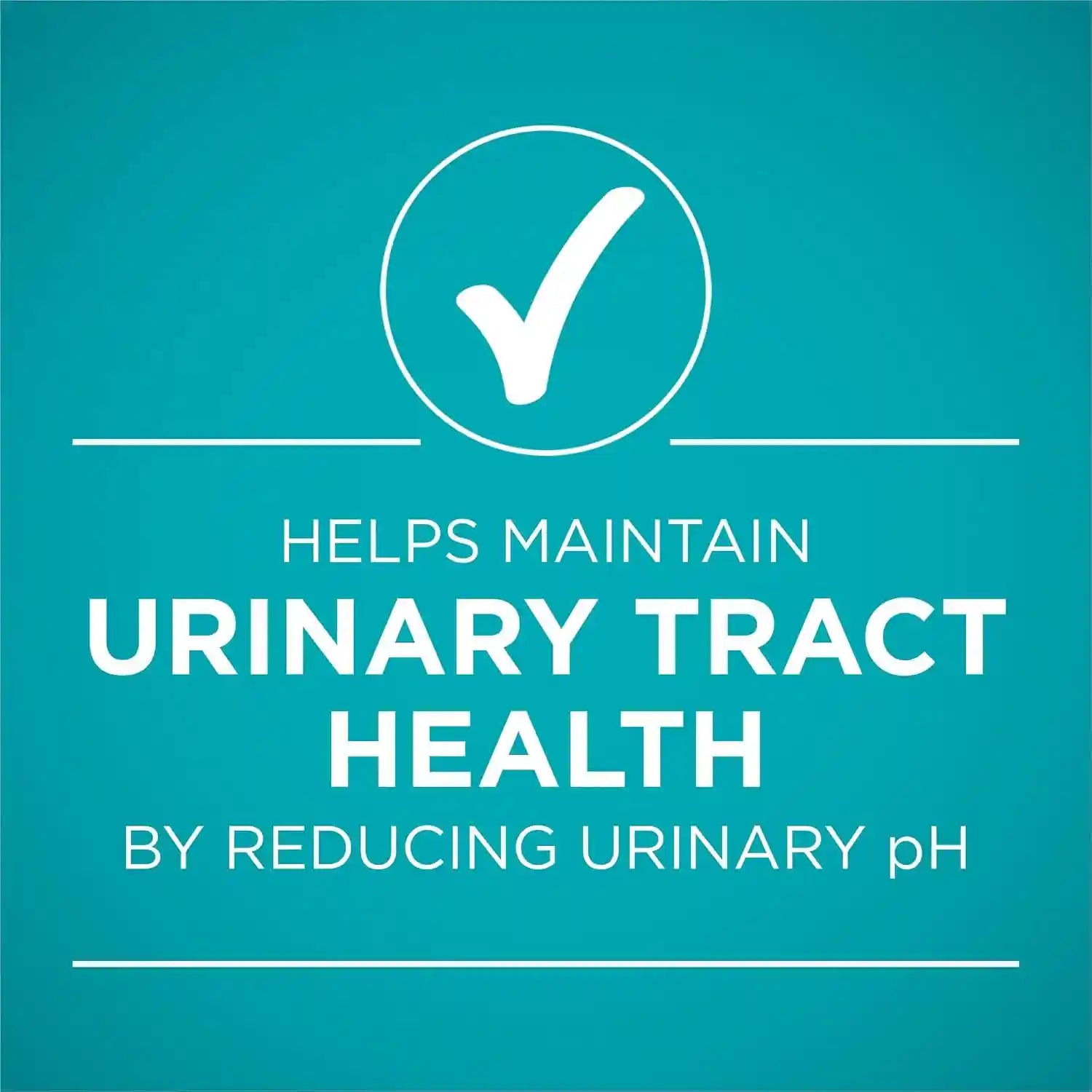purina-one-urinary-tract-health-natural-pate-wet-cat-food-urinary-tract-health-beef-liver-recipe-pack-of-24-3-oz-pull-top-cans