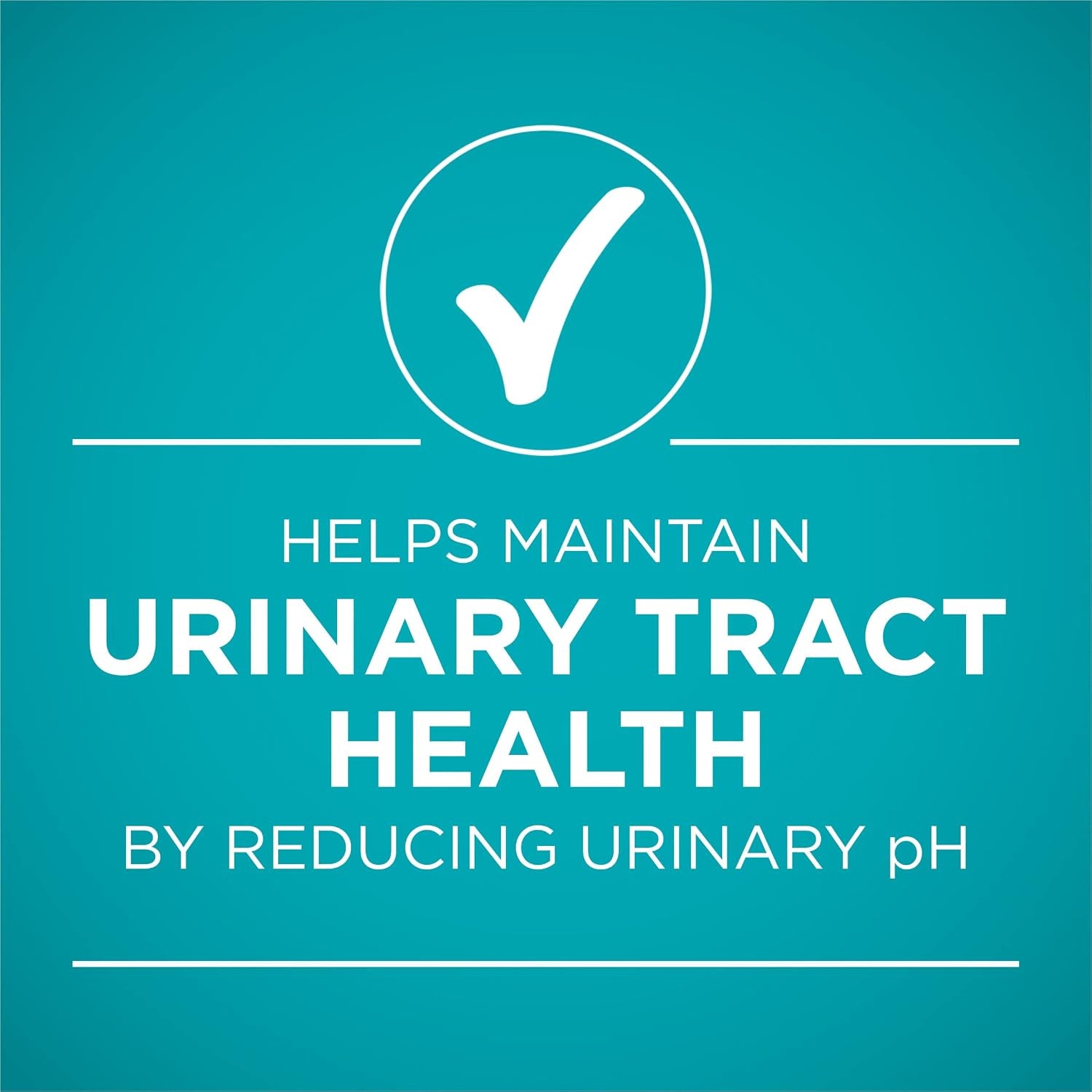 purina-one-urinary-tract-health-natural-pate-wet-cat-food-urinary-tract-health-beef-liver-recipe-pack-of-24-3-oz-pull-top-cans
