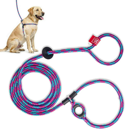 Harness Lead Escape Resistant, Reduces Pull Dog Harness, Medium/Large, Black9